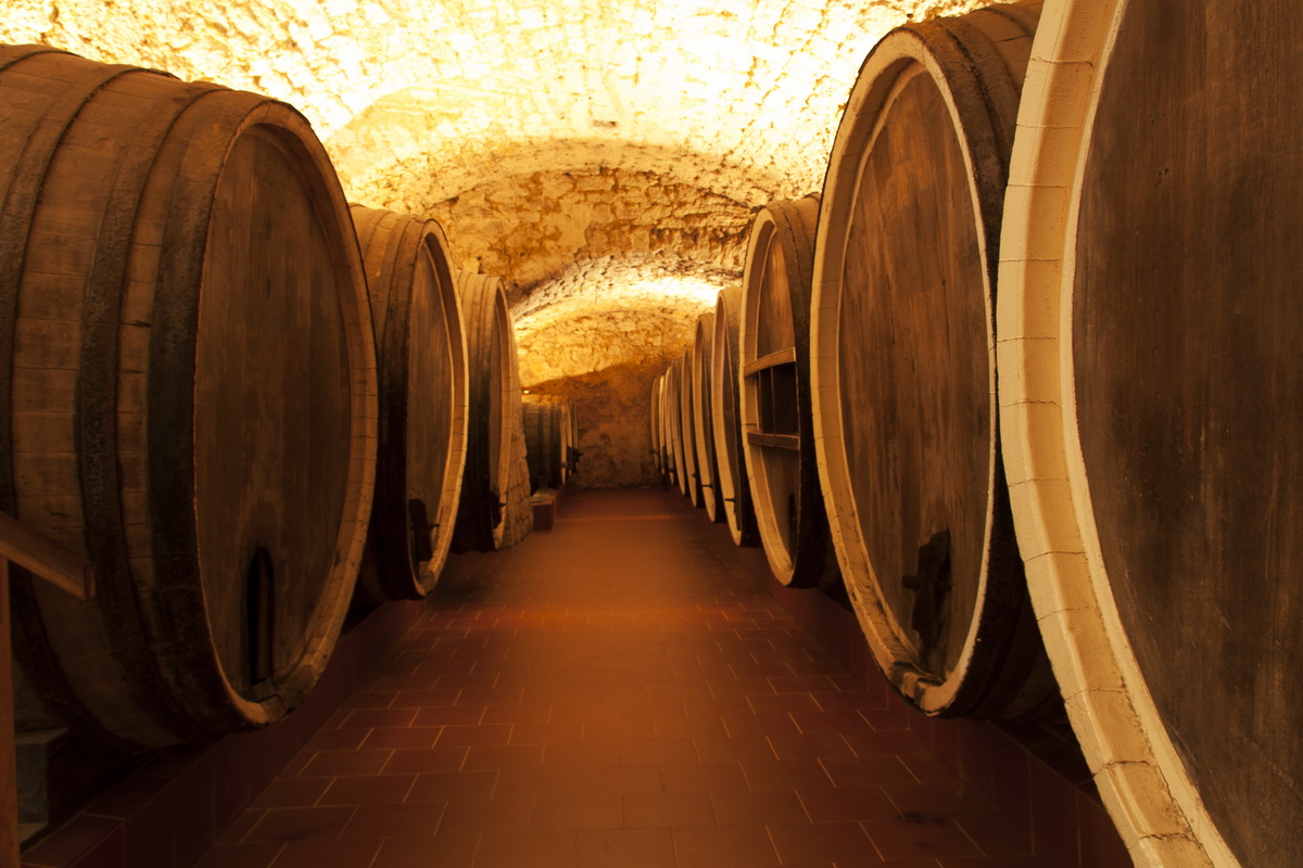 L'intervention d'un professionnel pour garantir la réussite de l'élevage de vin